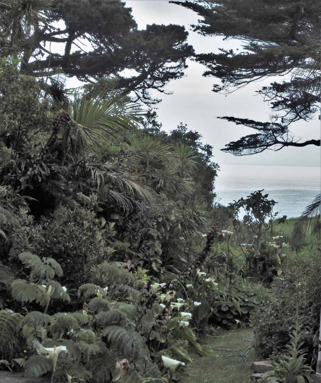 Villa Omau Retreat Cape Foulwind Esterno foto